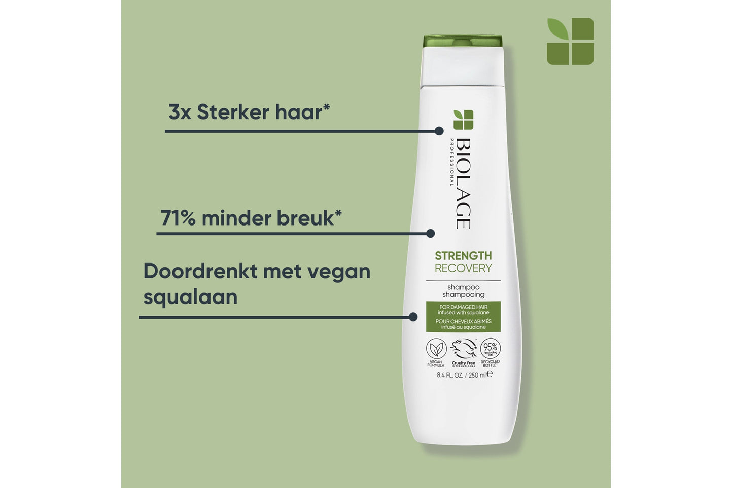 Biolage Strength Recovery Shampoo 250ml