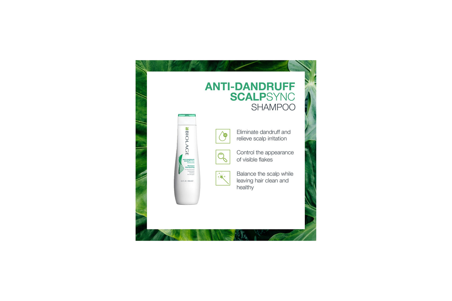 Biolage Scalpsync Anti Dandruff Shampoo 250ml