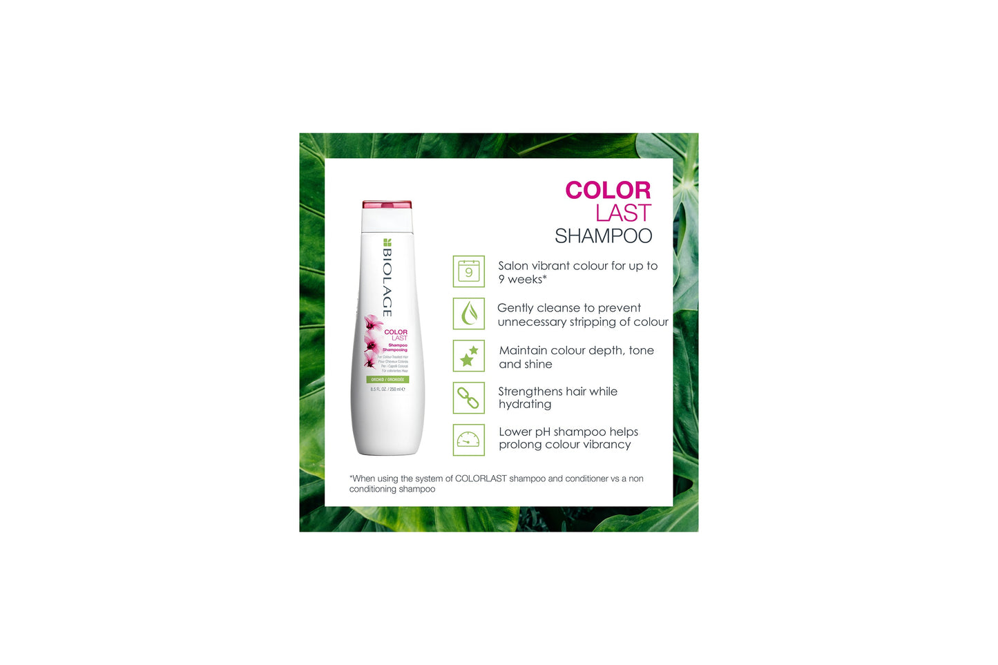 Biolage ColorLast Shampoo 250ml
