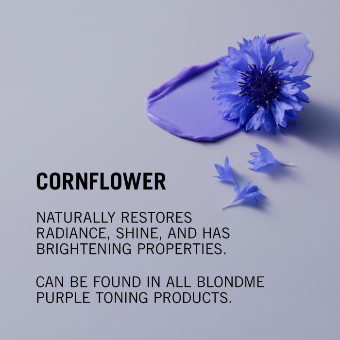 Schwarzkopf Professional BlondMe Bond Repair Purple Mask 500ml