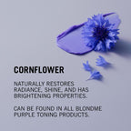 Schwarzkopf Professional BlondMe Bond Repair Purple Mask 500ml